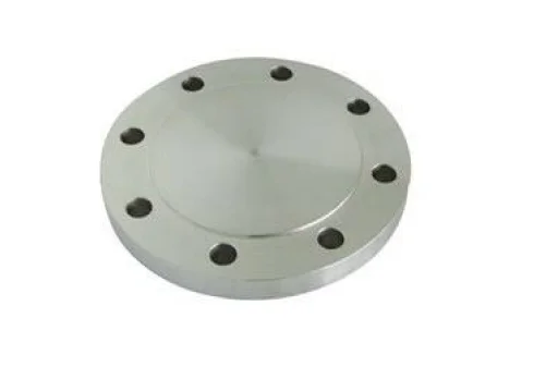 310s Blind Flange